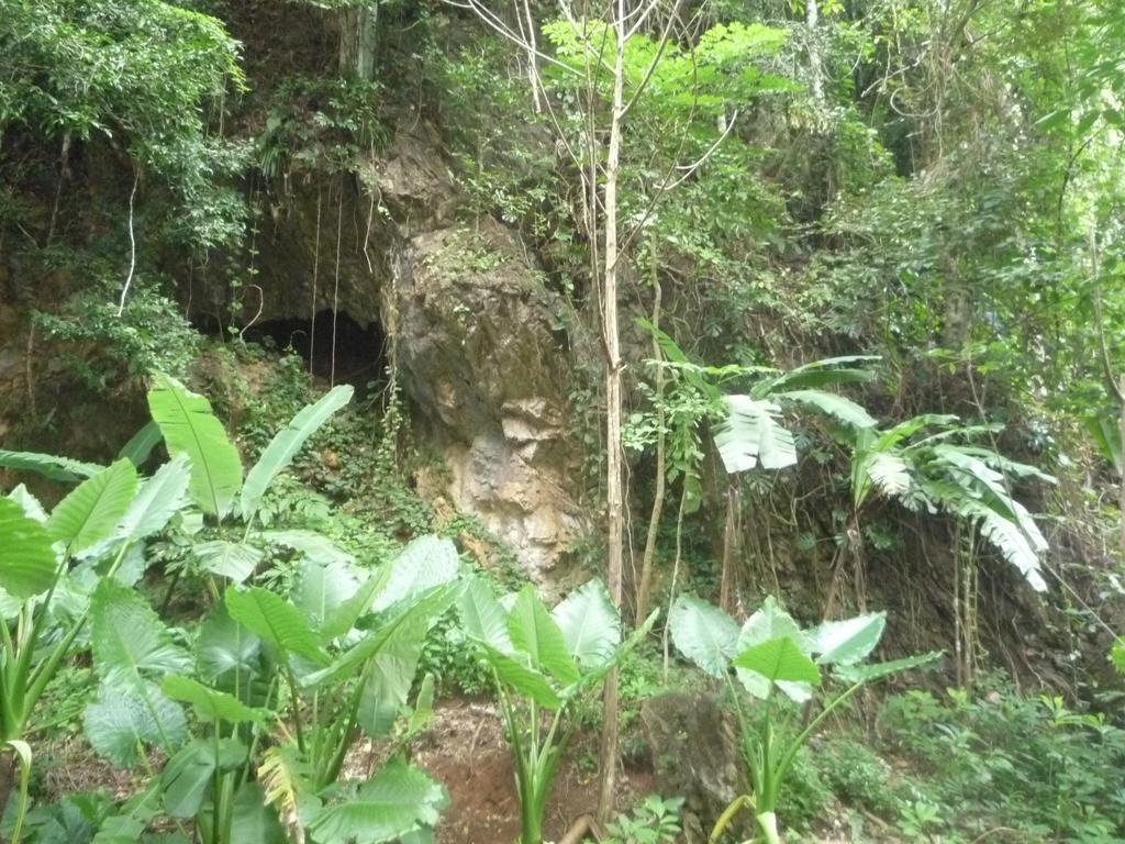 เขาสกฮอลิเดย์ รีสอร์ท Khao Sok National Park ภายนอก รูปภาพ
