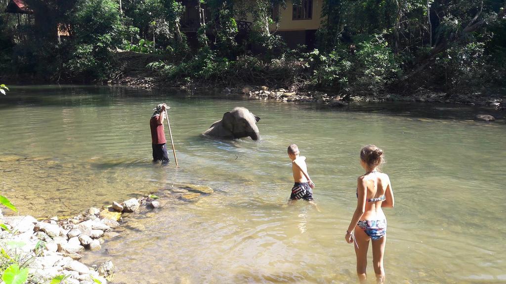 เขาสกฮอลิเดย์ รีสอร์ท Khao Sok National Park ภายนอก รูปภาพ